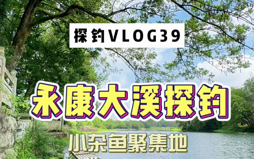 没想到永康市圆周村里,竟然藏着一个这么好看的公园!哔哩哔哩bilibili