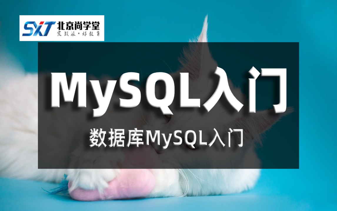 数据库MySQL入门课程、数据库MySQL入门实战教程MySQL数据库基础知识MySQL基本操作和SQL语句入门MySQL新手入门教程详解尚学堂哔哩哔哩...