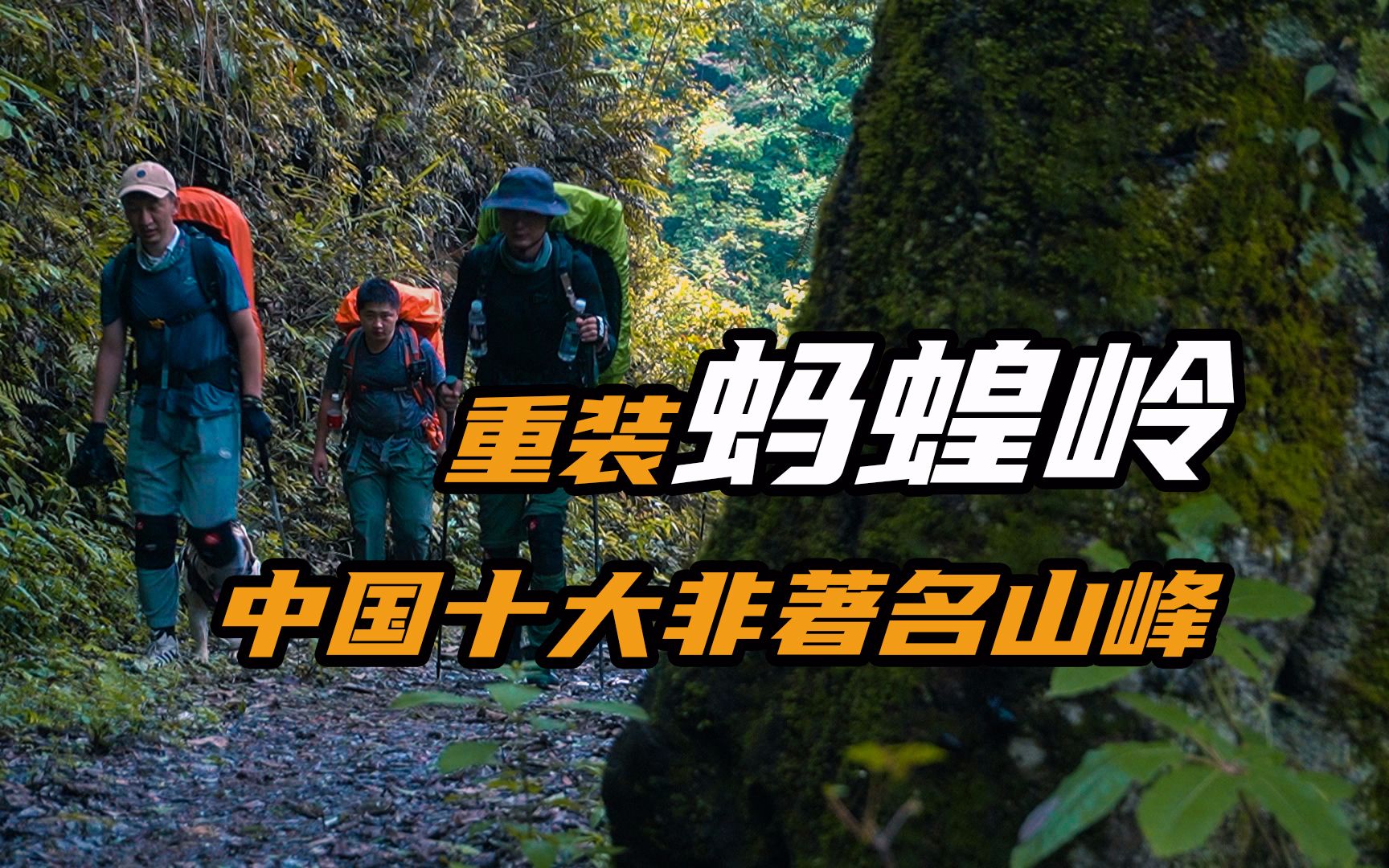 重装登山中国十大非著名山峰韭菜岭,漫山遍野的蚂蝗,无孔不入,太恐怖了.哔哩哔哩bilibili