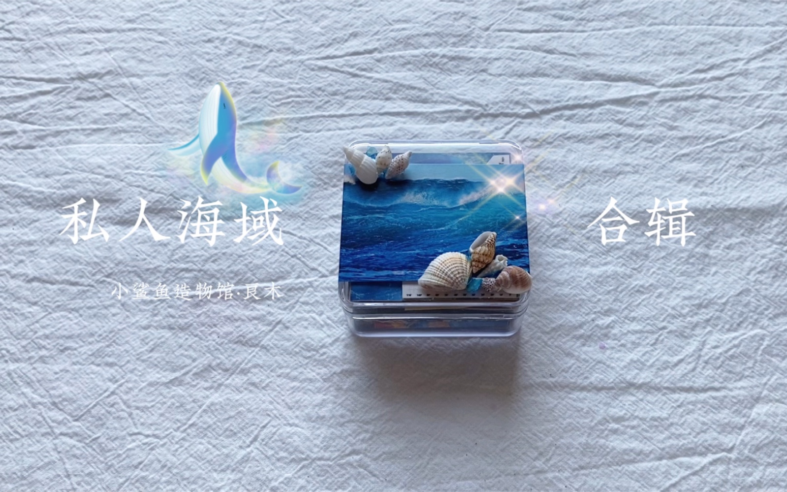 私人海域合辑|一分钟畅游海洋世界哔哩哔哩bilibili