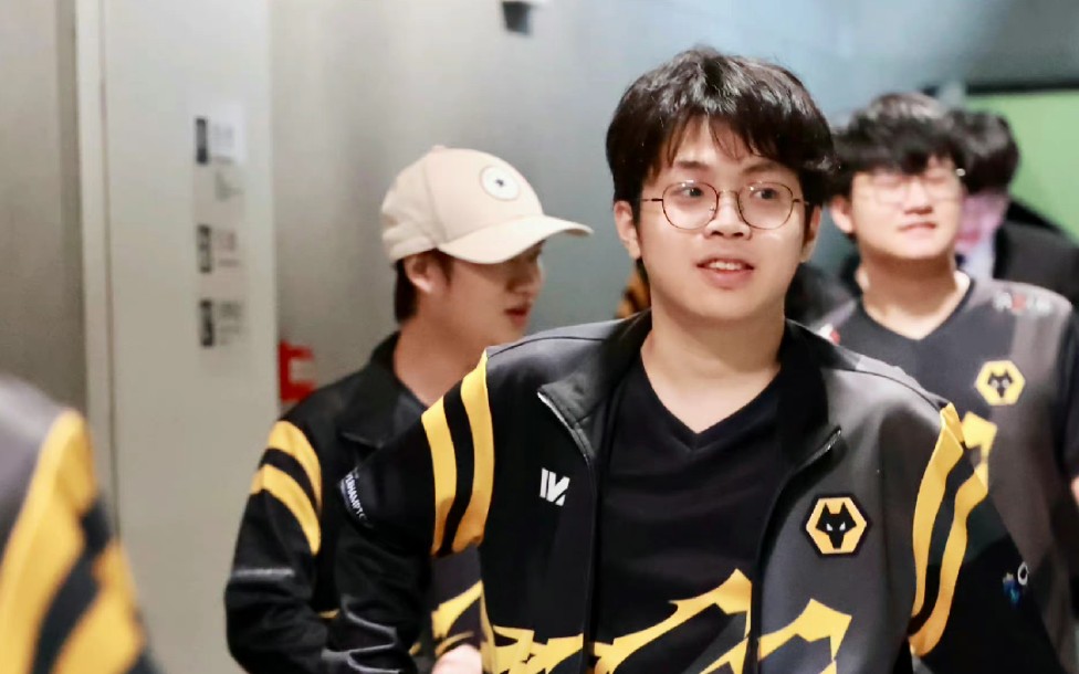 【狼队狮子】可爱狮崽谁不爱