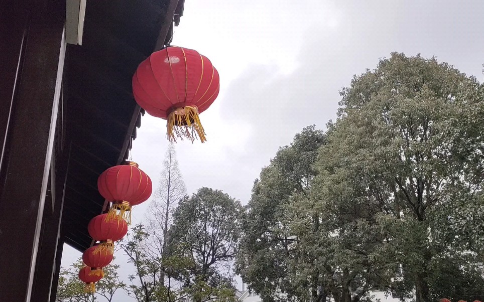 [图]何时杖尔看南雪，我与梅花两白头