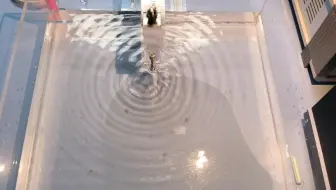 水波波源