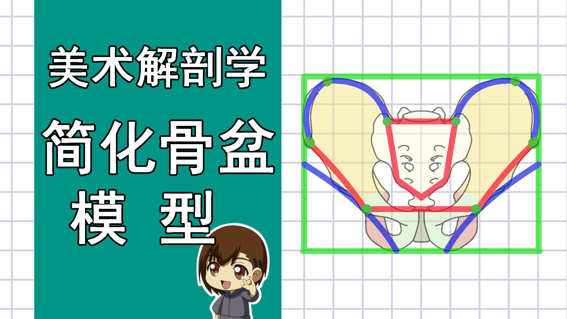 美术解剖学-50-简化骨盆模型