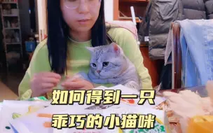 Download Video: 如何收获一只乖巧的小猫咪！