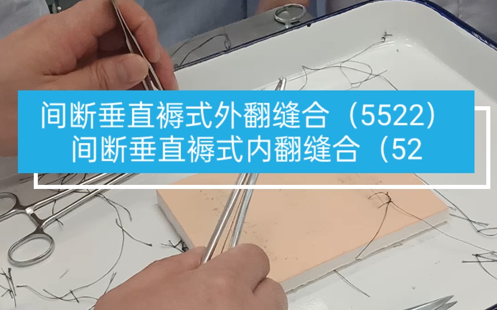 【临床技能操作】间断垂直褥式外翻缝合(5522)间断垂直褥式内翻缝合(5225)——老师讲解与示范哔哩哔哩bilibili