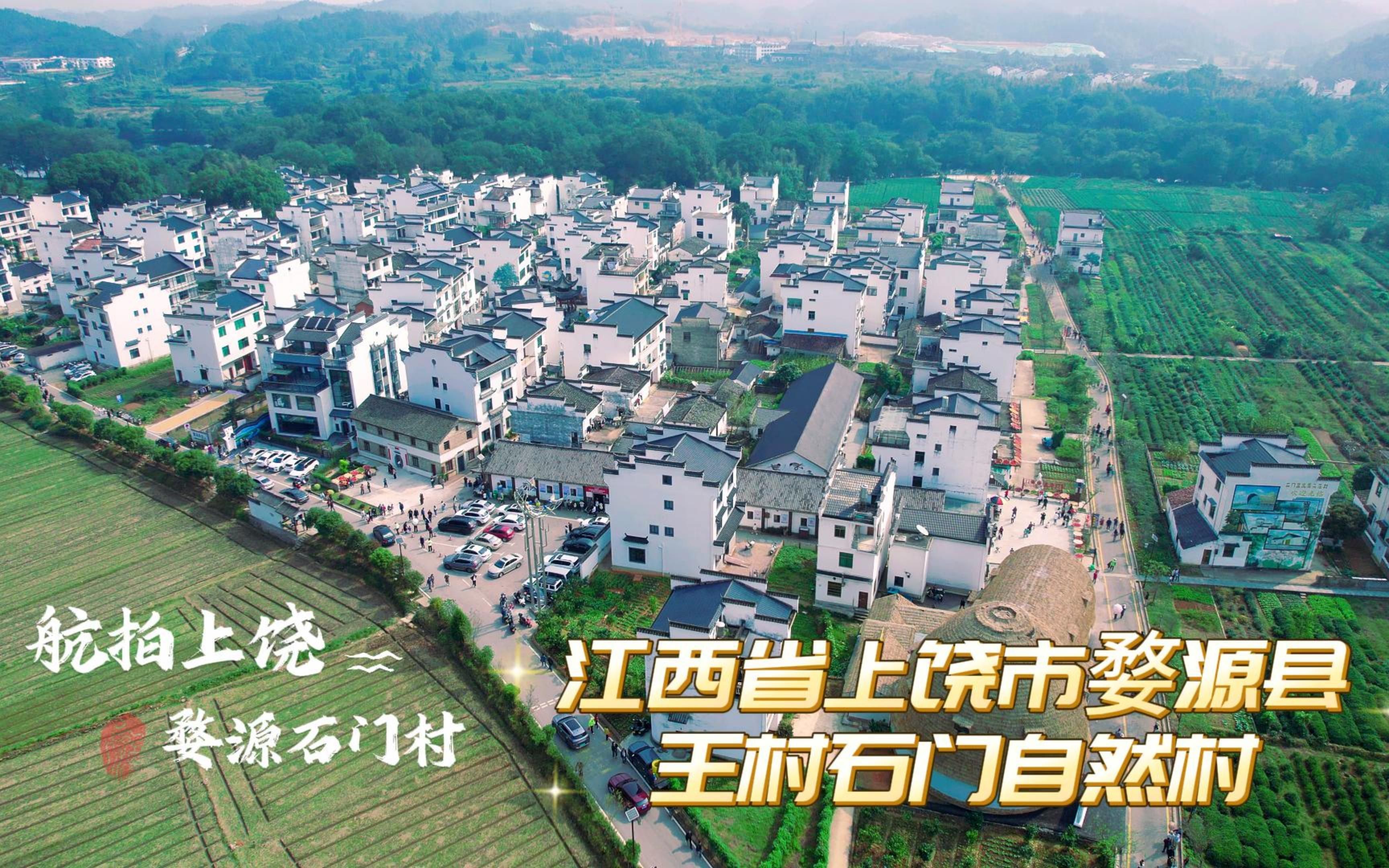 航拍上饶婺源石门村:端起"生态碗" 吃上"旅游饭 蓝冠噪鹛