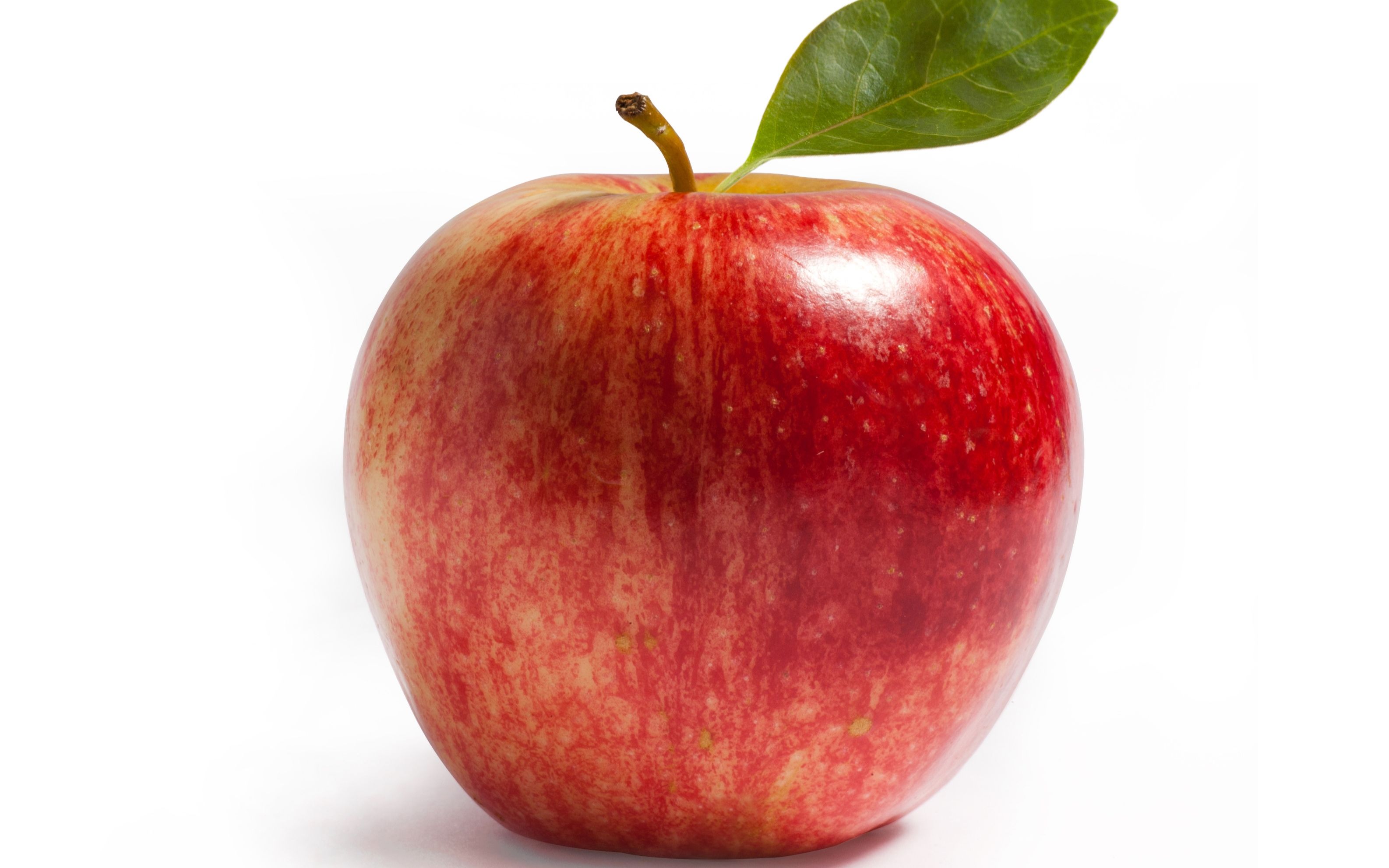 【苹果】各种出没合集〔修轮〕_哔哩哔哩_bilibili