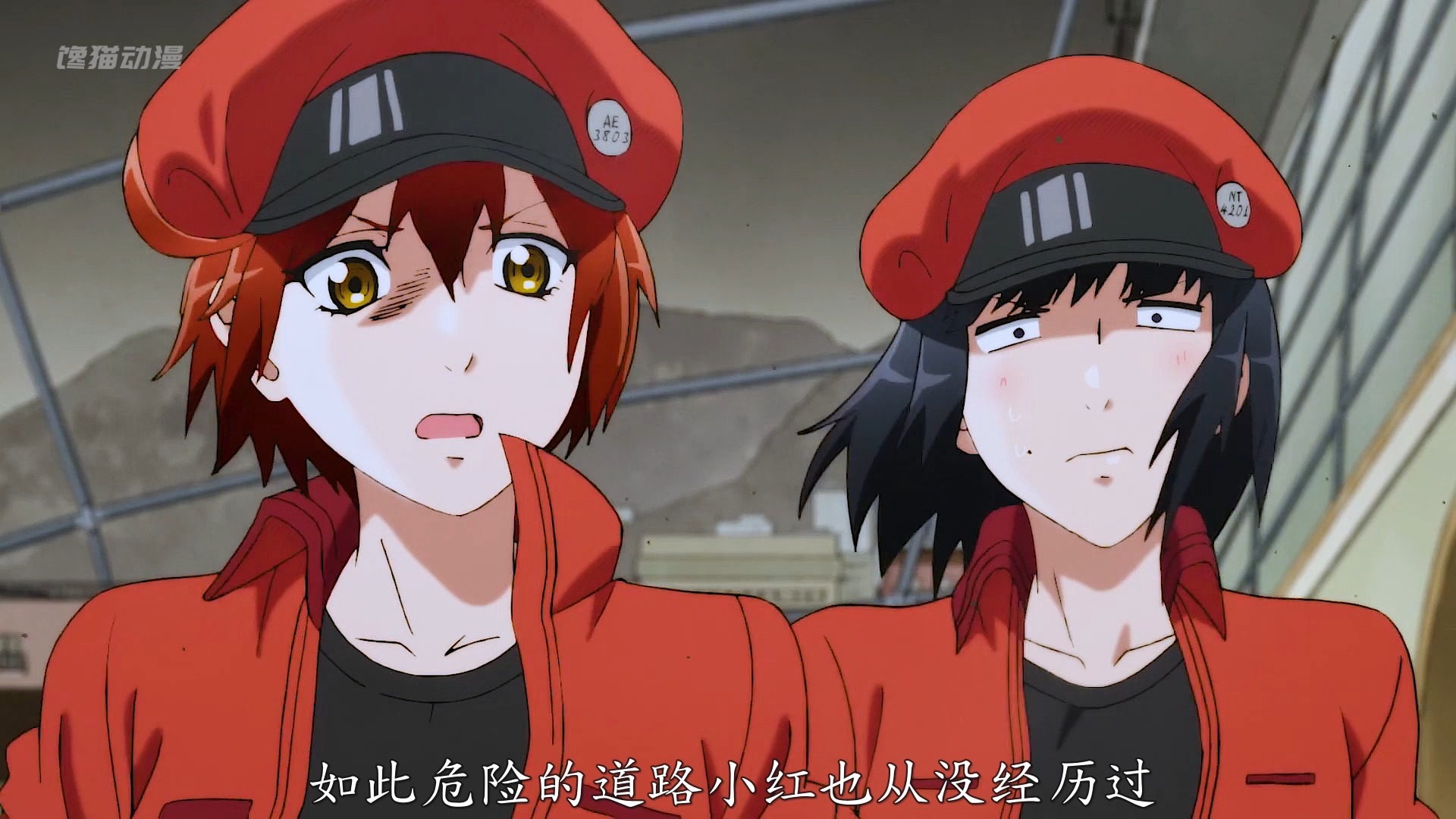 两分半看完工作细胞27-29集