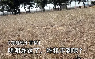 8声音 搜索结果 哔哩哔哩 Bilibili