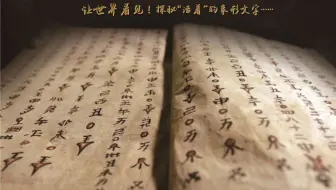 尽洪荒之力，让世界看见贵州水书！