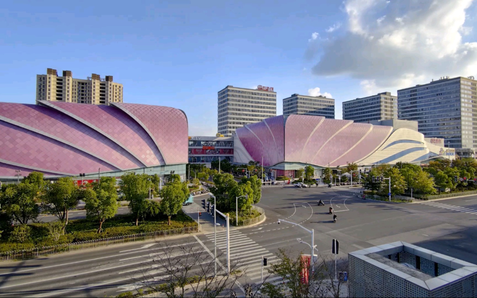 玩遍上海之东渡蛙城