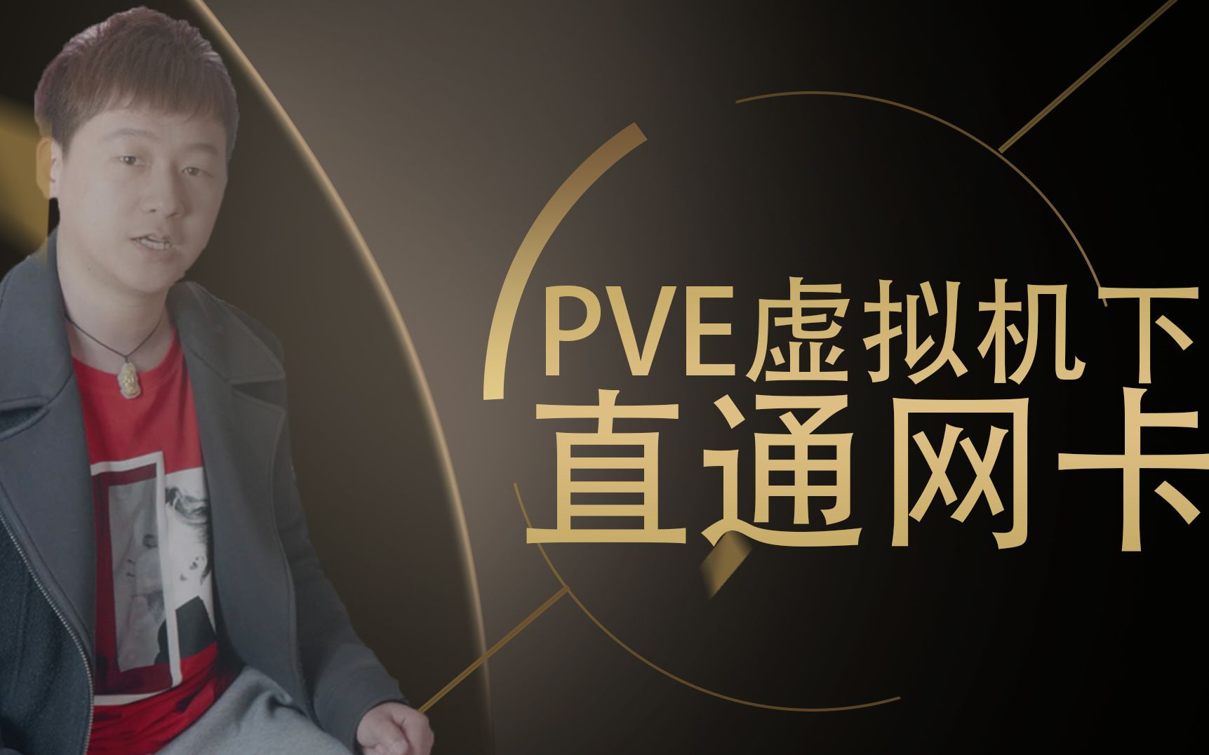 pve(proxmox ve)下網卡是如何設置直通的