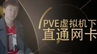 PVE(Proxmox VE)下网卡是如何设置直通的