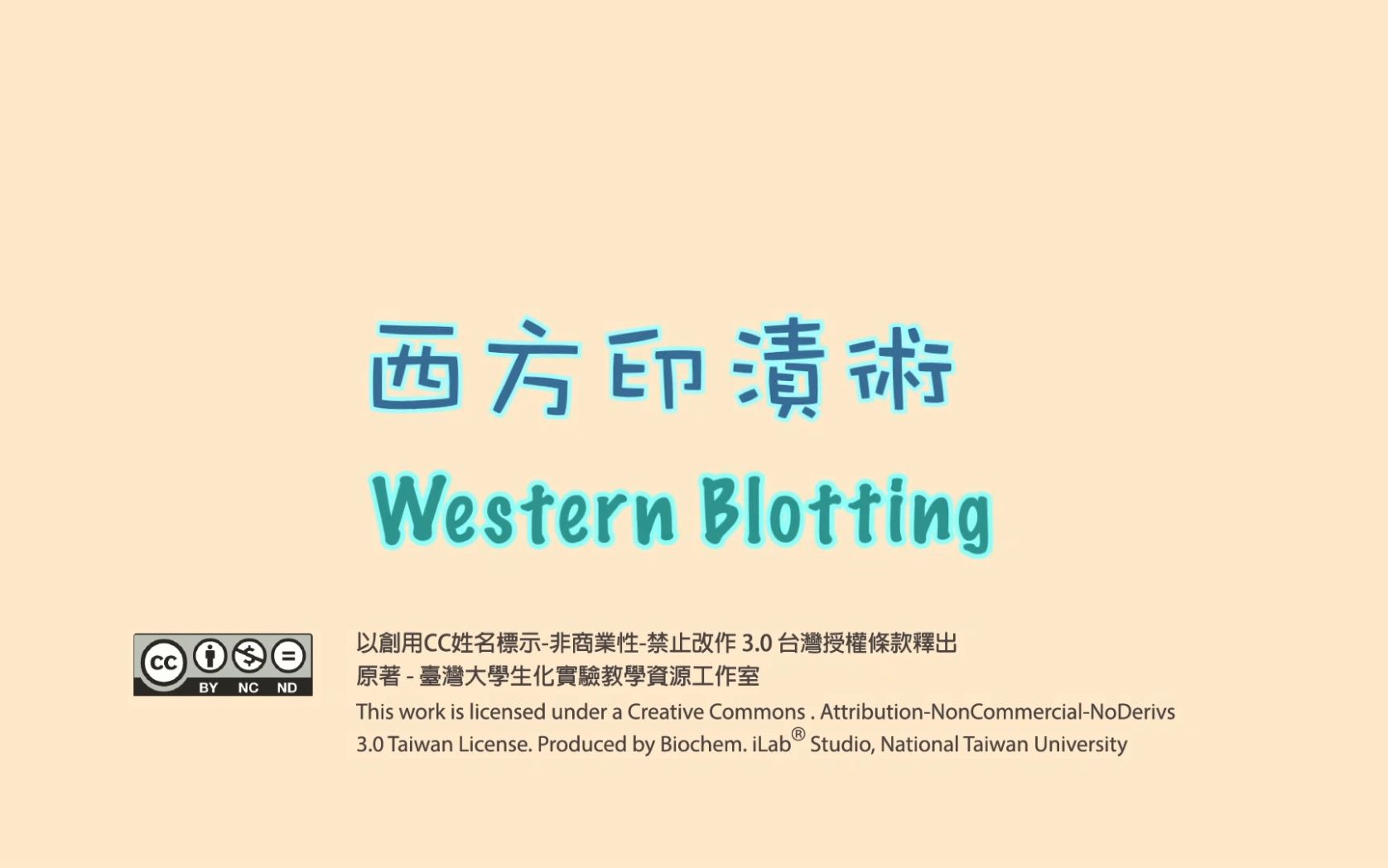 [图]单元6.(4-1)蛋白质印迹法(蛋白质印迹转移电泳 Western Blot)-原理(动画)【單元 6．(4-1)西方印漬術_原理 (動畫)】