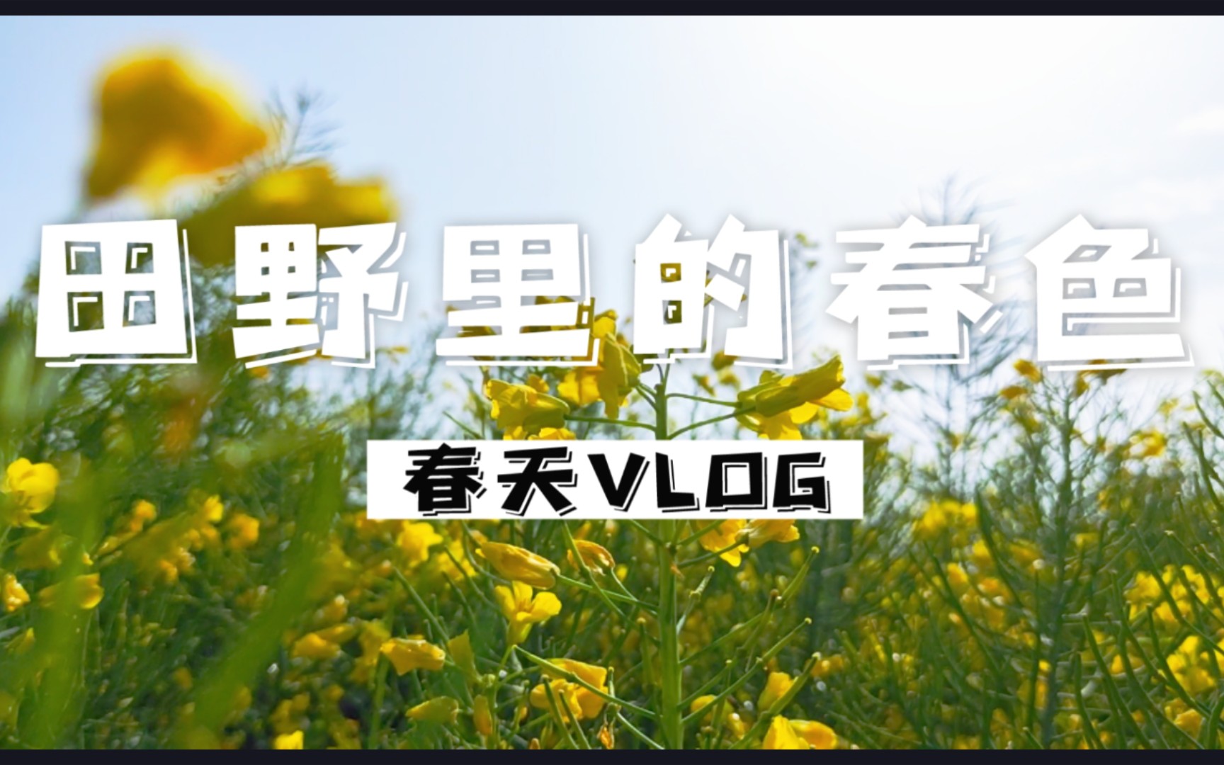 2022春天VLOG田野里的春色哔哩哔哩bilibili