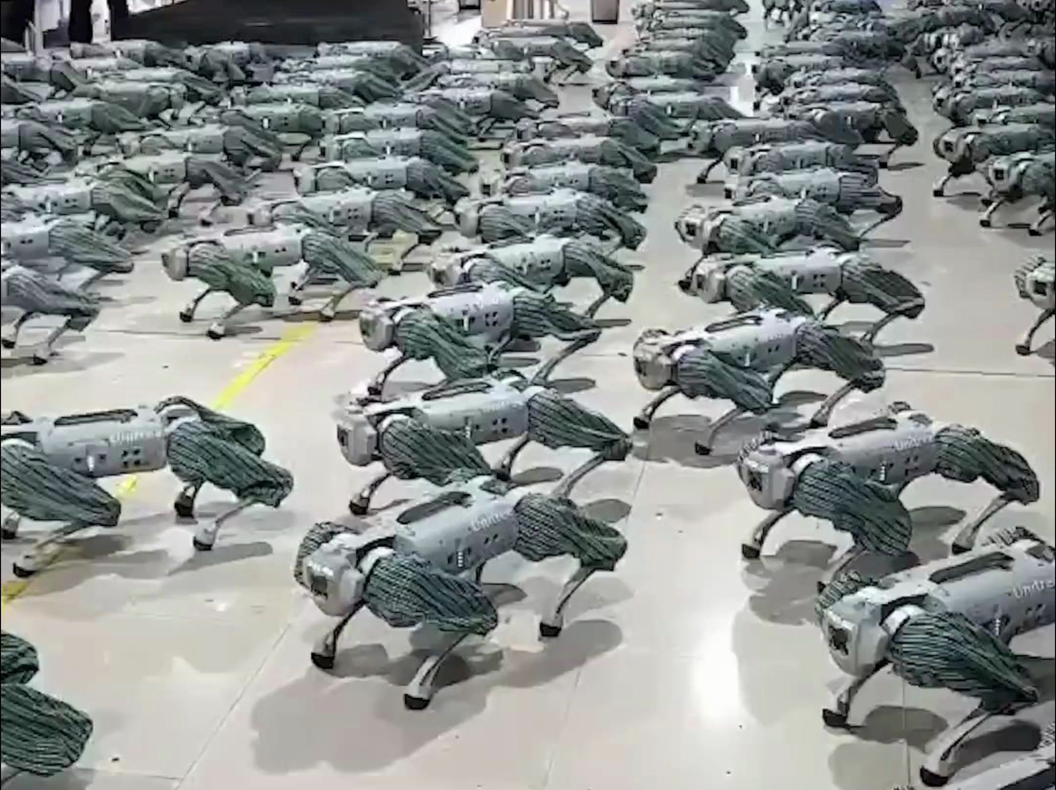 未来已来——机器狗军团