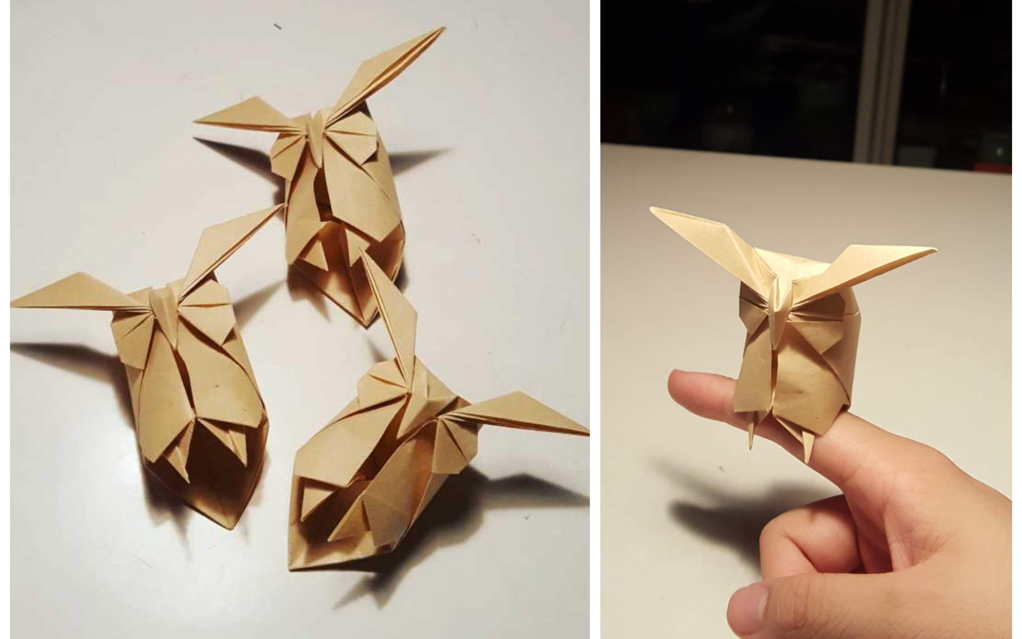 折纸教程立在手指上的猫头鹰眉毛超霸气