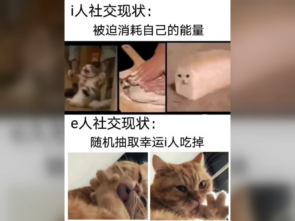 网络上极度真实的图片(9)哔哩哔哩bilibili