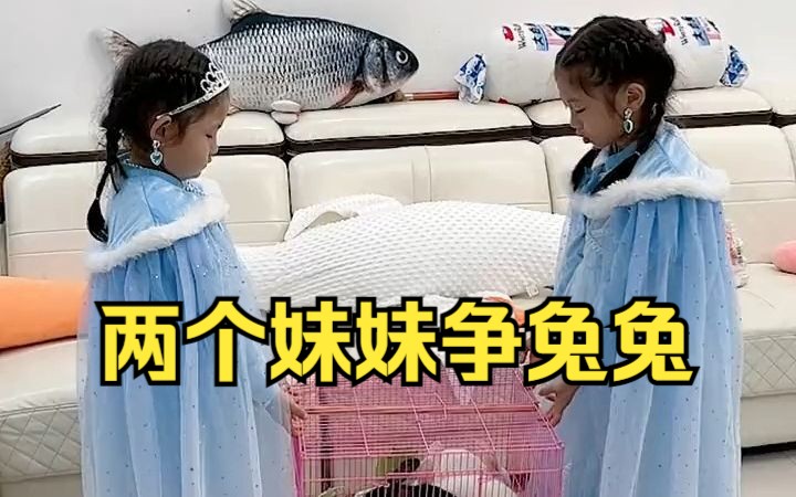 [图]两个妹妹争兔子，爸爸妈妈被办法，还得大姐出马！