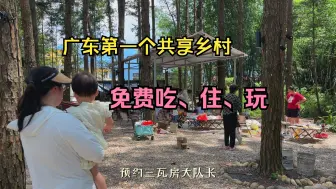 Tải video: 免费吃住玩，共绘振兴新画卷，共创乡村新活力，未来的发展在农村