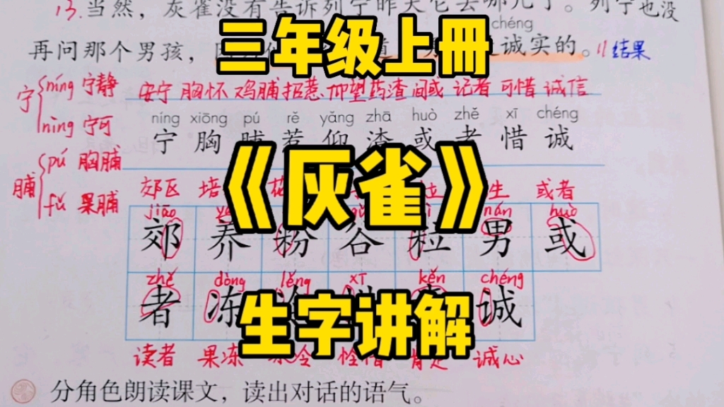 三年级语文上册:《灰雀》生字讲解,了解汉字才能准确的使用汉字!哔哩哔哩bilibili