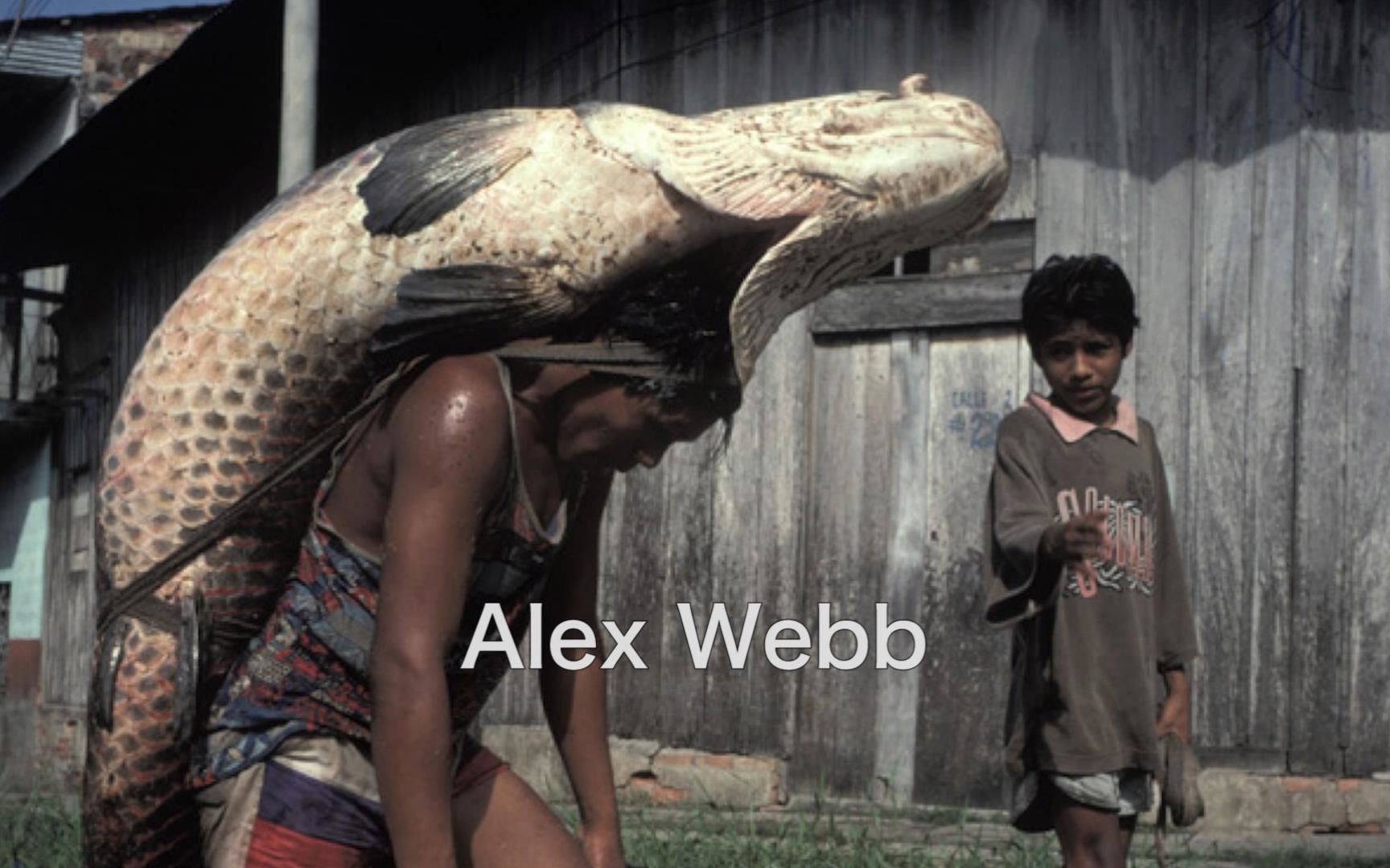 看看马格南大师Alex Webb面对复杂的场景是如何构图的哔哩哔哩bilibili