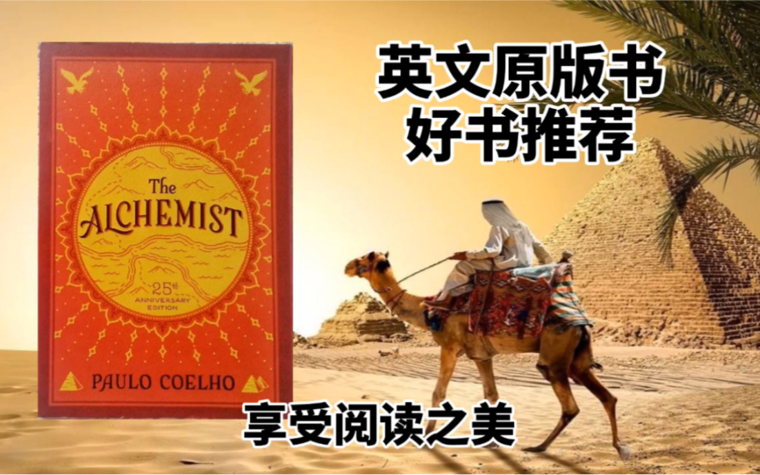 [图]英文宝藏书推荐｜The Alchemist《牧羊少年奇幻之旅》