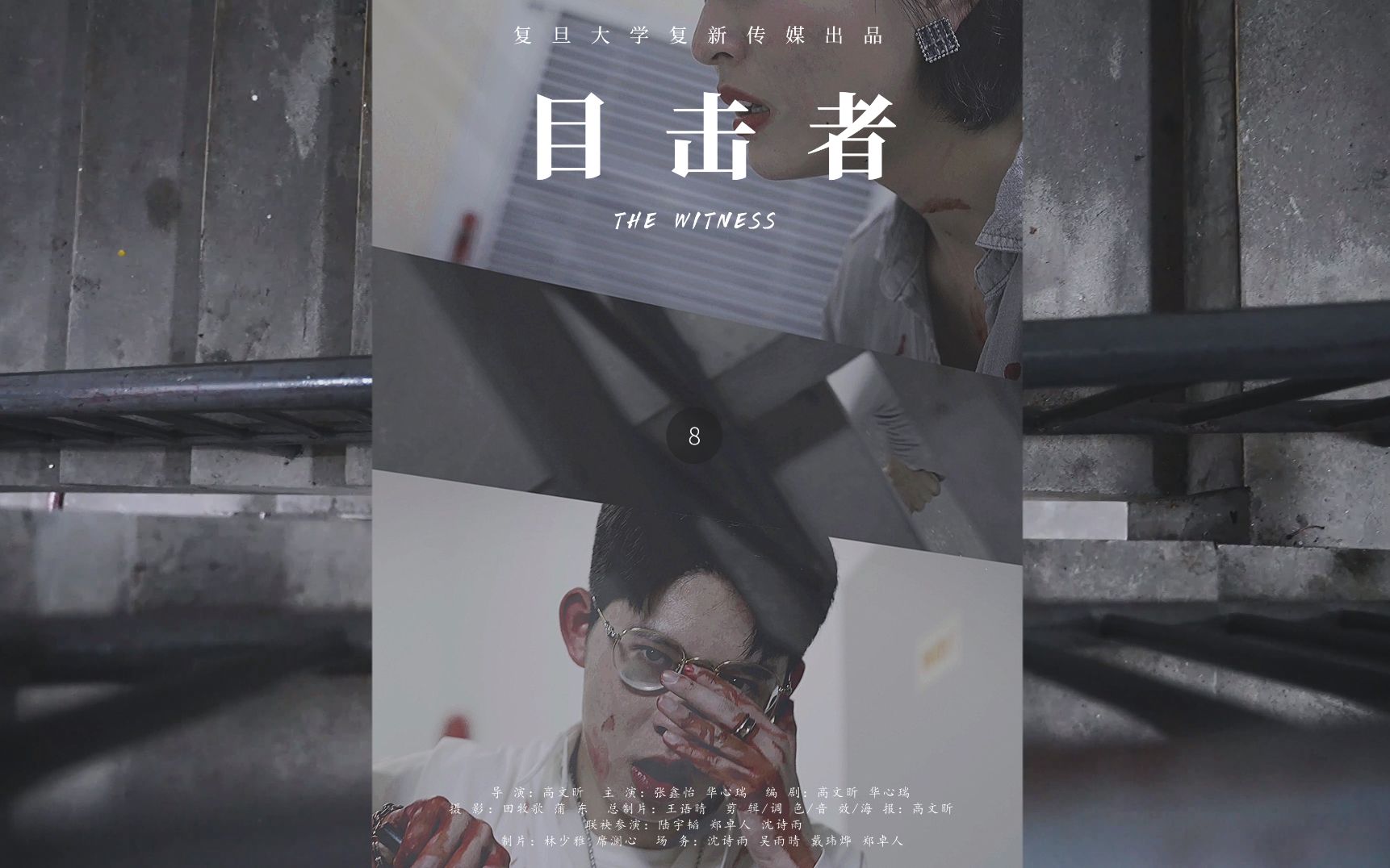 目击者 The Witness(中文字幕)哔哩哔哩bilibili