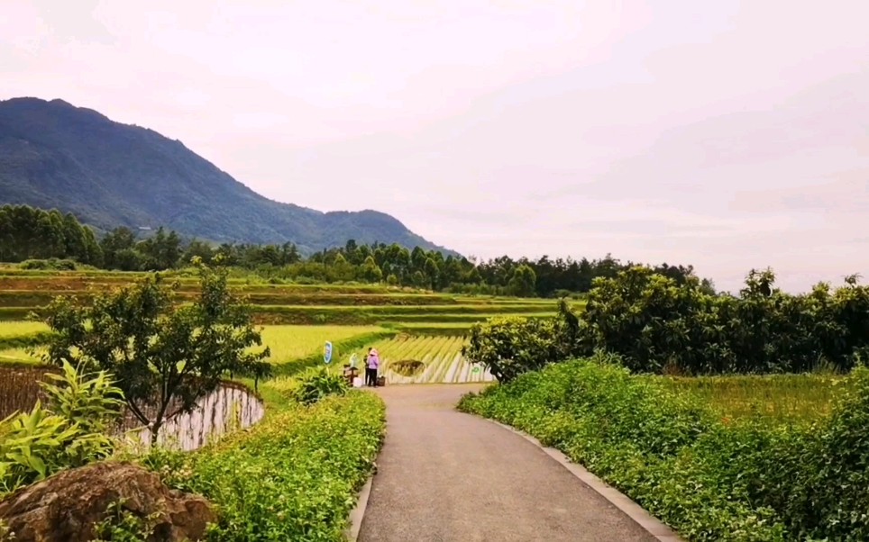 [图]走进大自然，走进山水田园间，欣赏美丽的乡村风景。