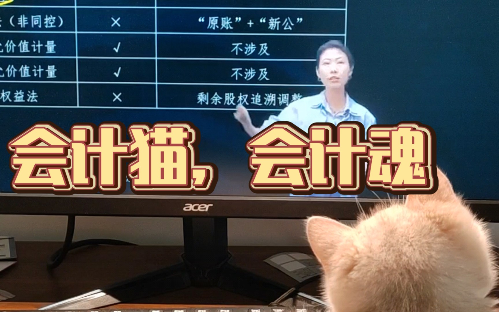 会计猫,会计魂