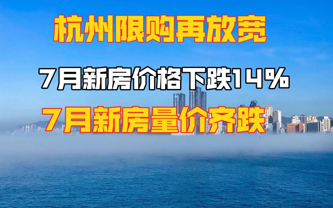 杭州限购再放松,7月新房价格环比下跌14%量价齐跌哔哩哔哩bilibili