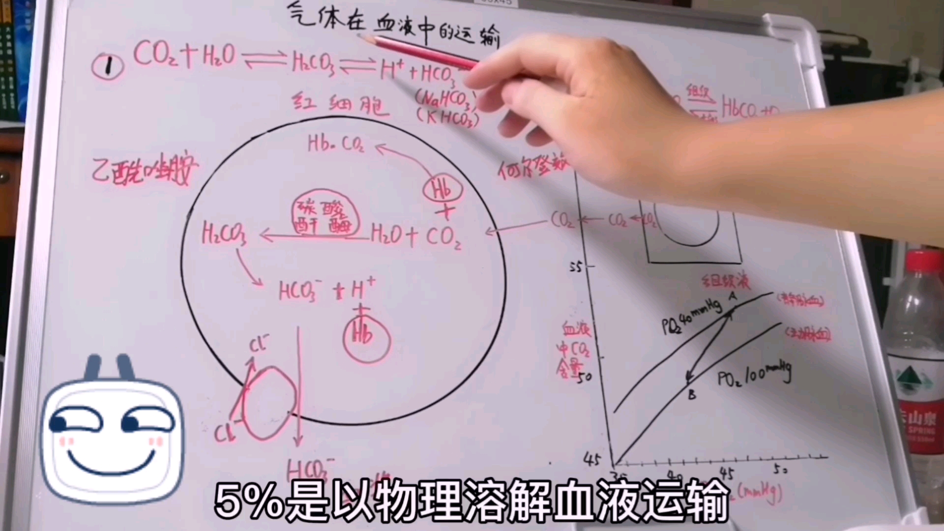 生理,二氧化碳如何在血液中运输?什么是何尔登效应,波尔效应,二者如何相互影响?哔哩哔哩bilibili