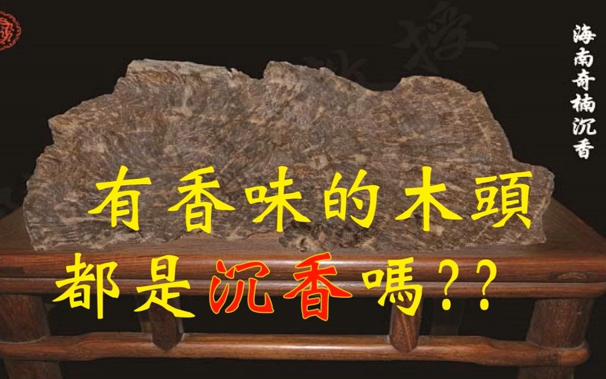 陈兴夏教授―有香味的木头都是沉香吗?哔哩哔哩bilibili