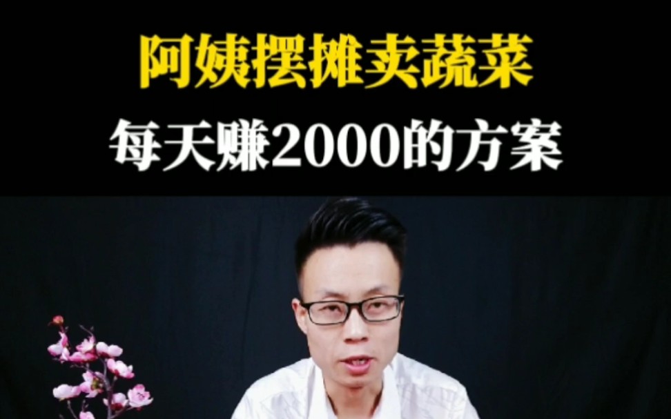 阿姨摆摊卖蔬菜,每天收回2000的方案!哔哩哔哩bilibili