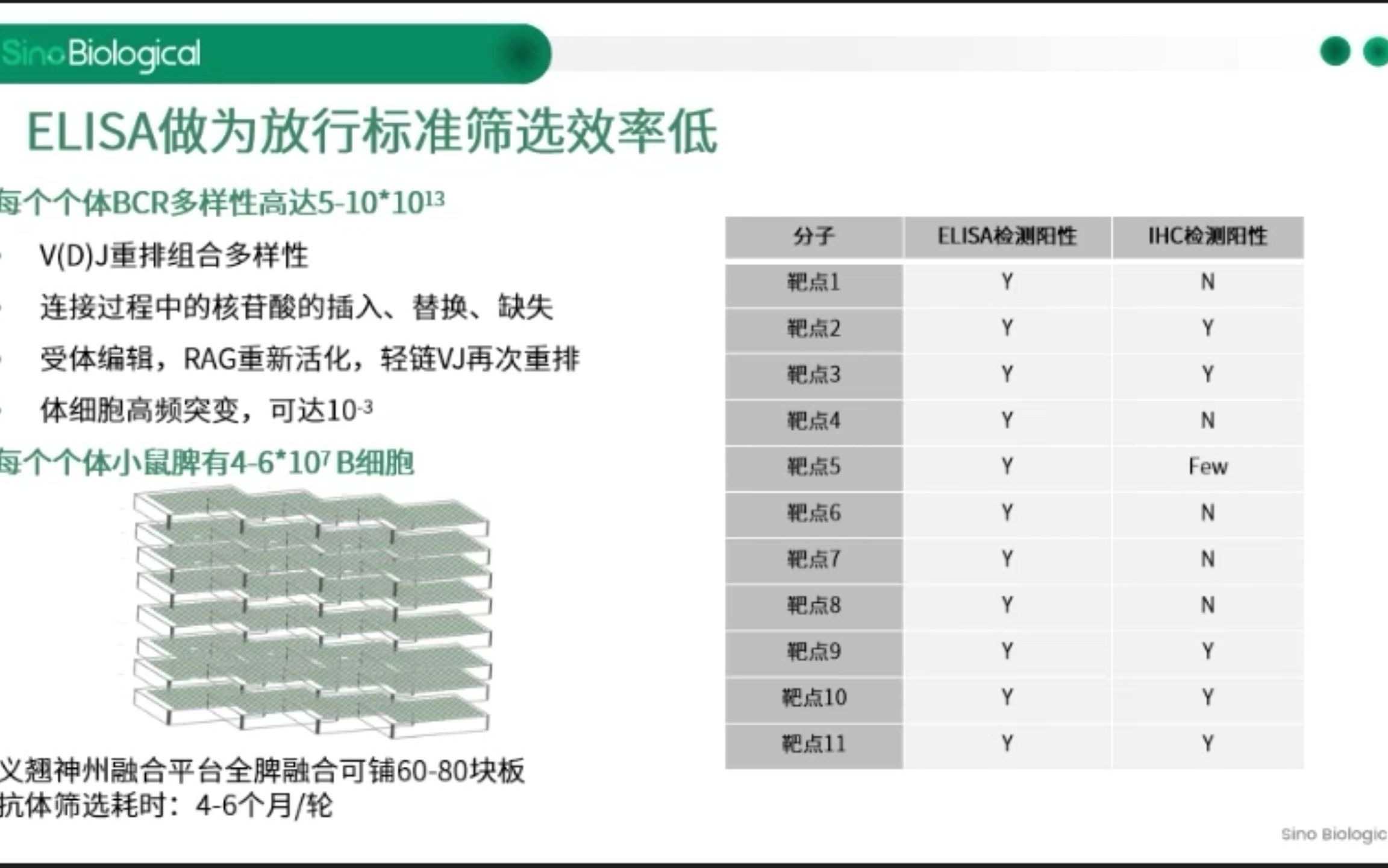 【讲座】如何善用免疫学检测技术筛选优质抗体哔哩哔哩bilibili