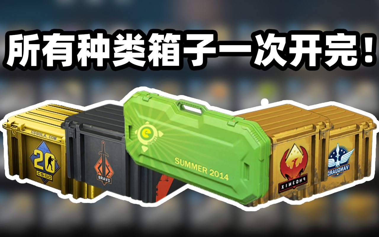 [图]【CSGO开箱】最 真 实 的 开 所 有 箱 子 ！