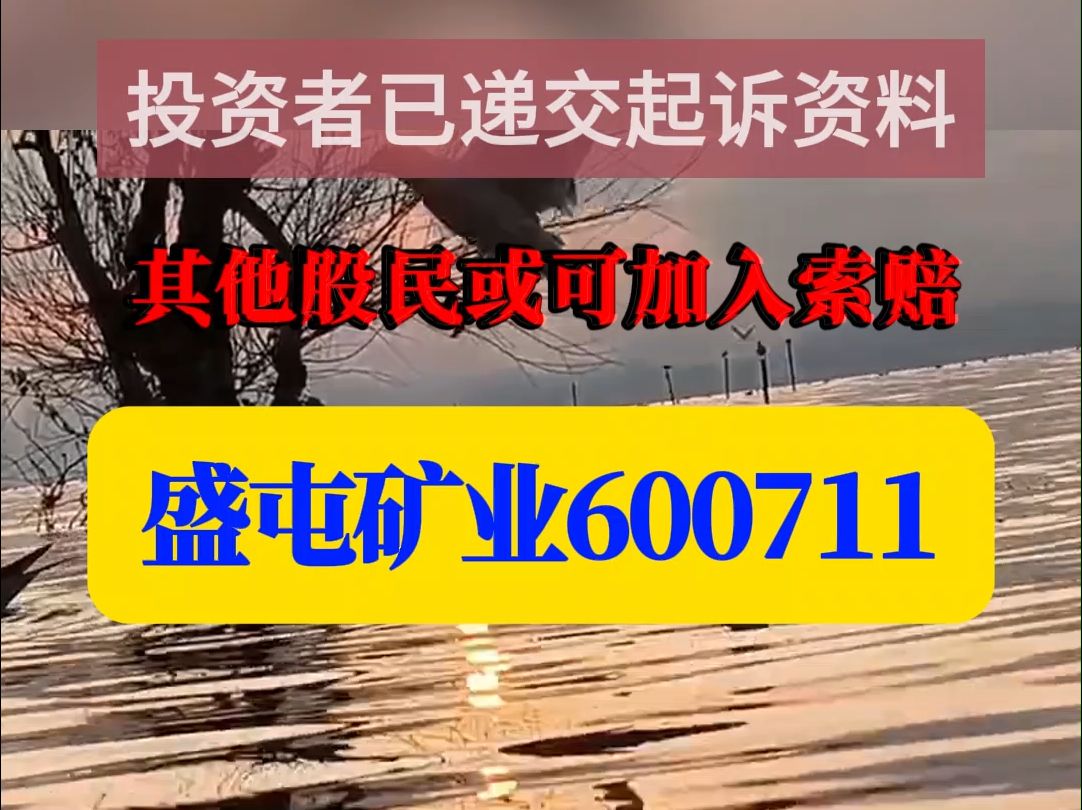 投资者索赔盛屯矿业600711违披案,已递交起诉材料哔哩哔哩bilibili