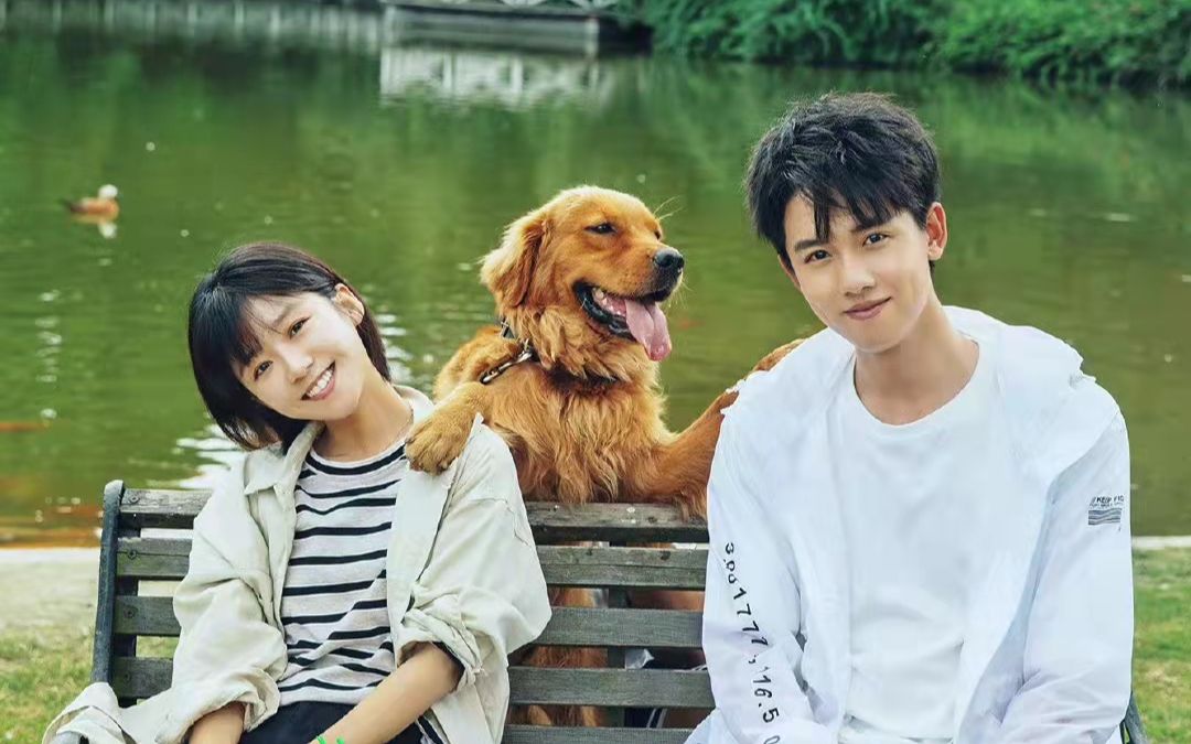 【全世界最好的你】宋伊人&张耀 | 混剪