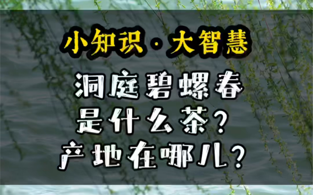 【小知识𐟍ƒ大智慧】洞庭碧螺春是什么茶?产地在哪儿?哔哩哔哩bilibili