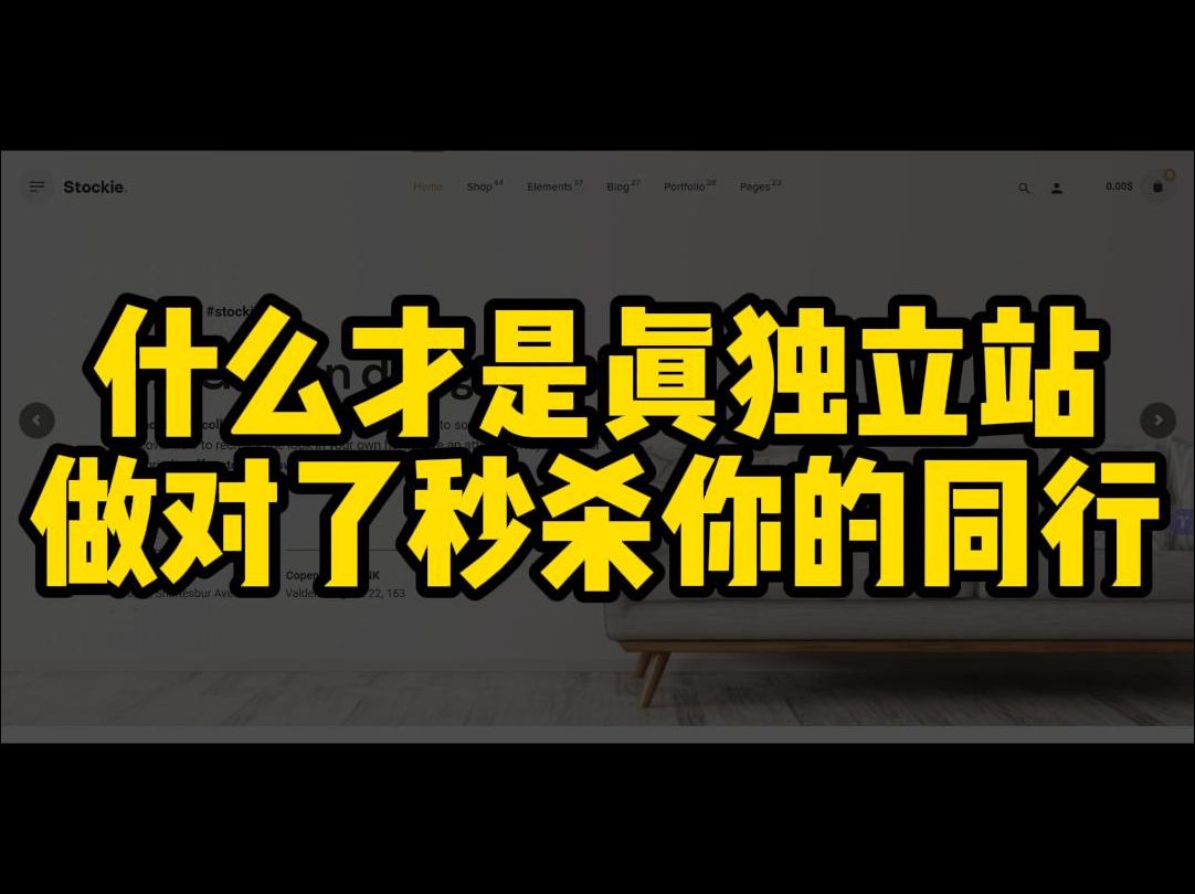 什么才是真正的独立站,做对了秒杀你的同行哔哩哔哩bilibili