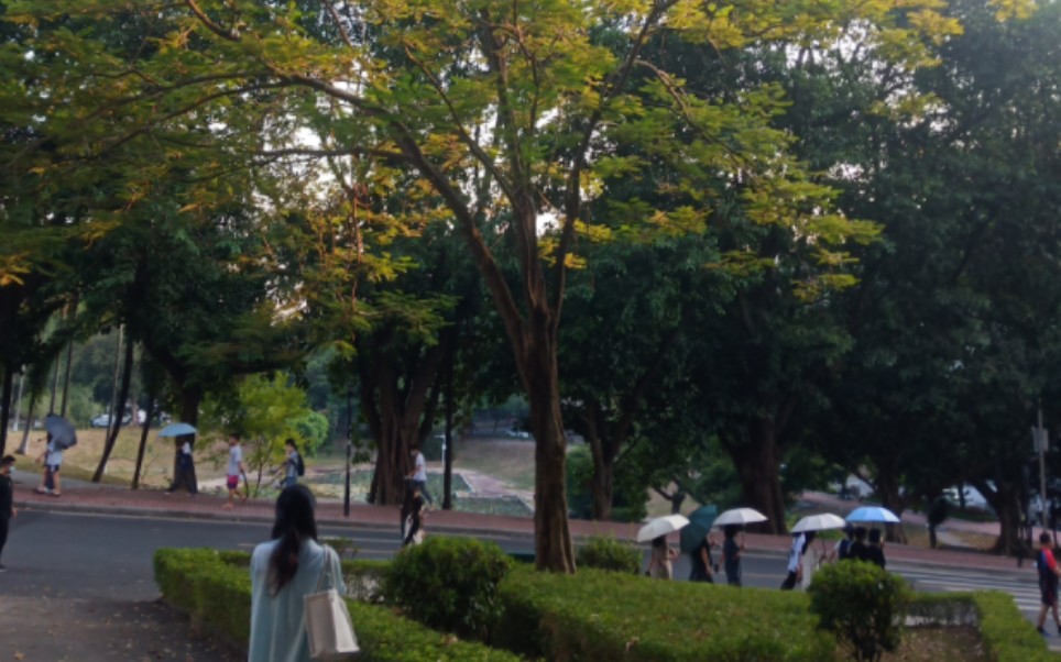 [图]大学牲疯校日常