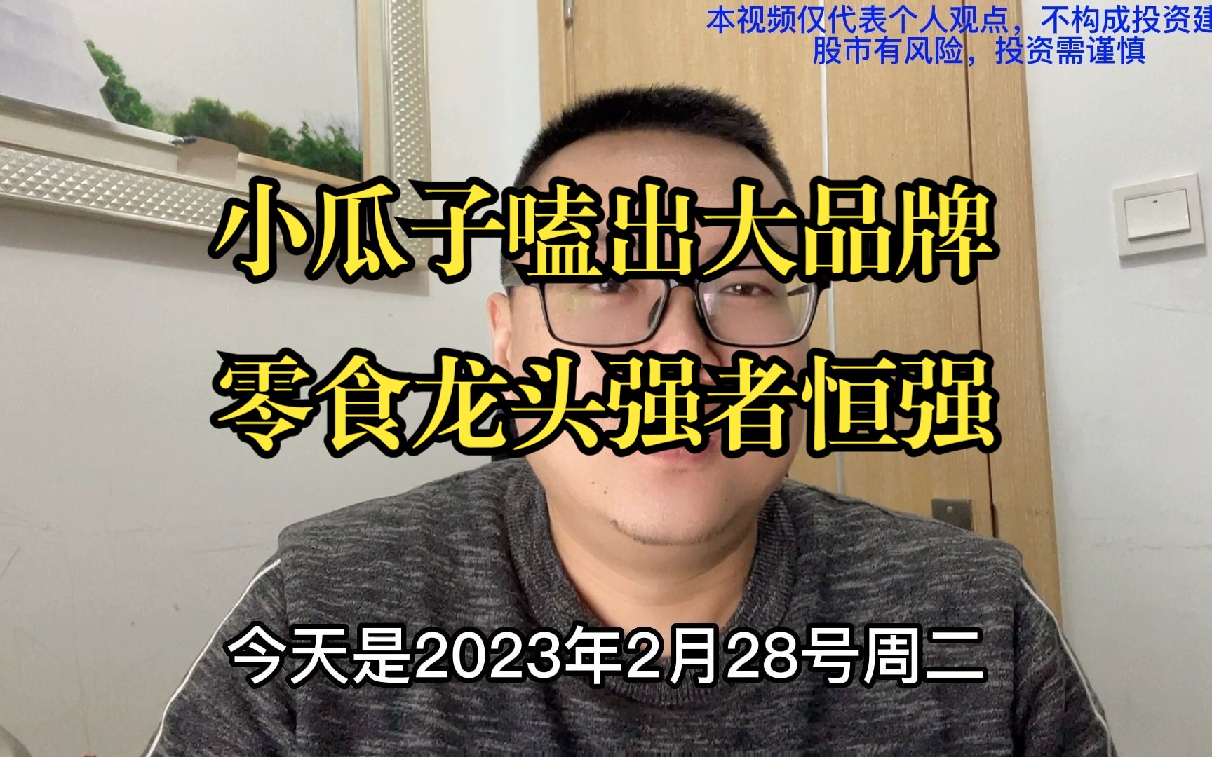 (洽洽食品投资笔记)小瓜子嗑出大品牌,零食龙头强者恒强哔哩哔哩bilibili