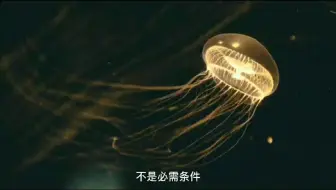 评中级职称前必须要先评初级职称吗？