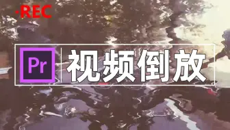 【PR教程】如何用PR制作视频倒放效果