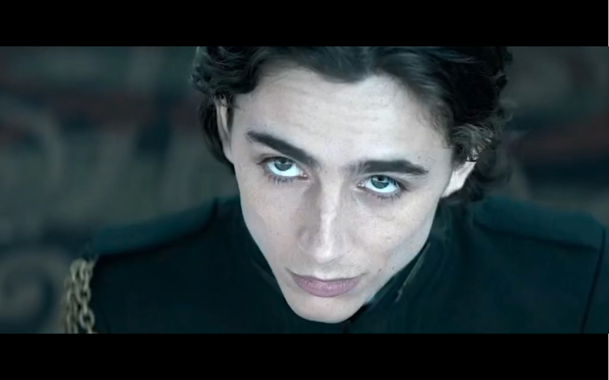 甜茶 timothee chalamet 保罗 厄崔迪 沙丘 dune
