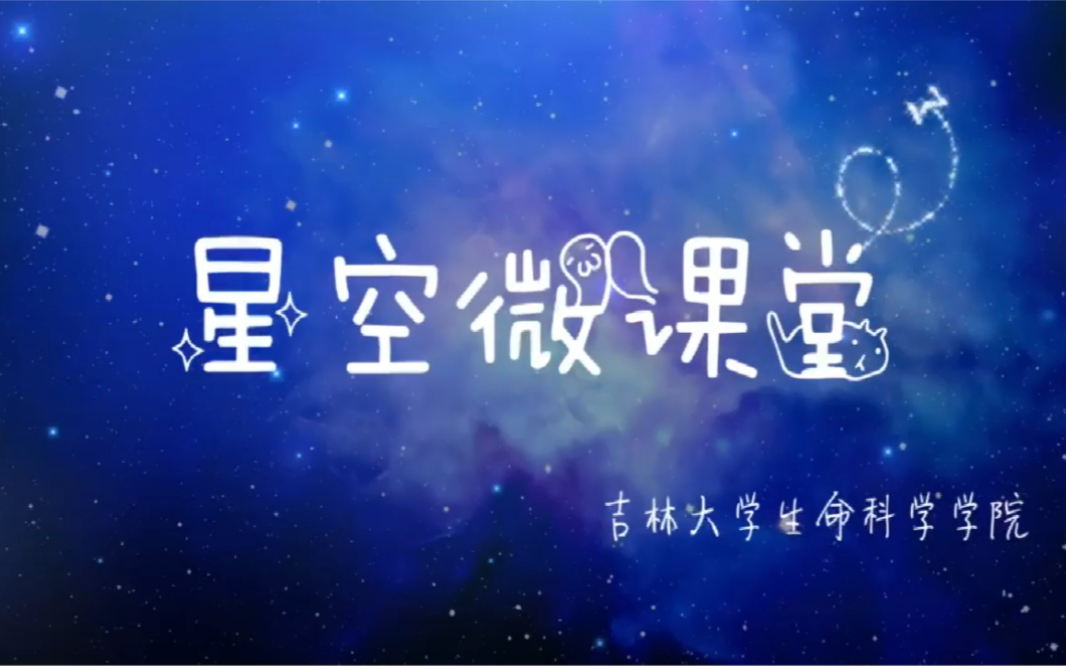 星空微课堂细胞生物学|光反应原初反应哔哩哔哩bilibili