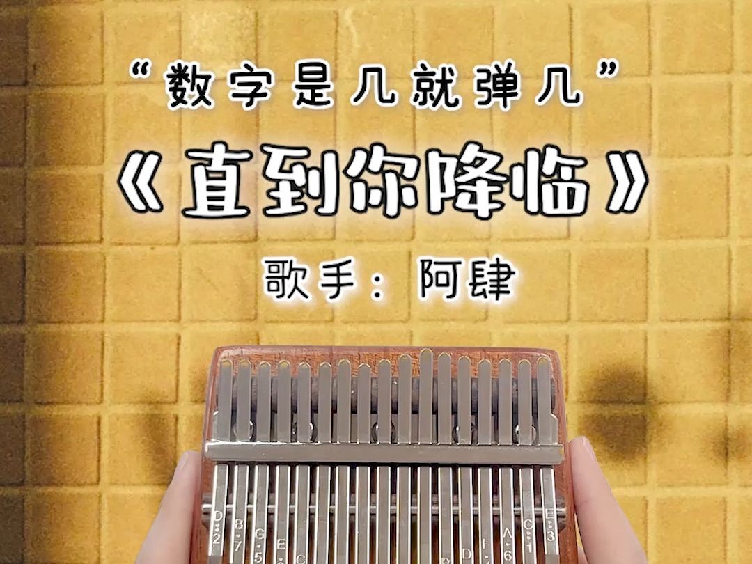 "我从未如此相信,如此确定"《直到你降临》卡林巴拇指琴演奏