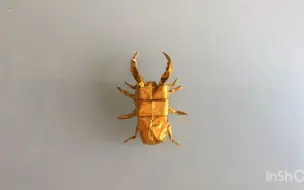 Tải video: 【Mushitarou's Origami】甲虫折纸教程Origami　sawstagbeetle