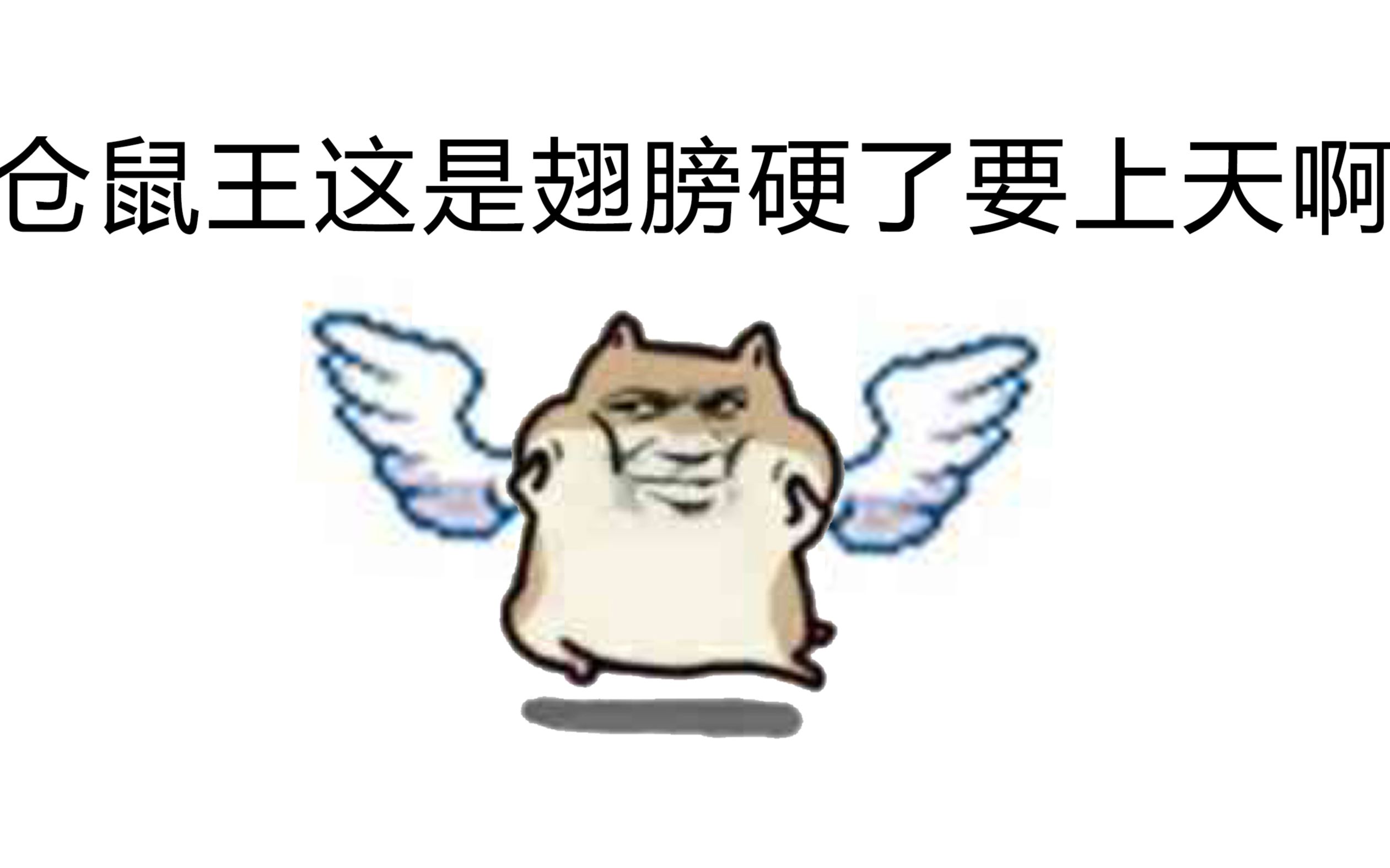 小鬼:仓鼠王翅膀硬了,不听我的话了